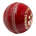 Champ Elite 3 Star 135g Cricket Ball – 2pc Red