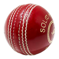 Champ Elite 142g Cricket Ball 2pc RED
