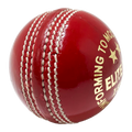 Champ Elite Pro 156g Cricket Ball – 4 Pc Red