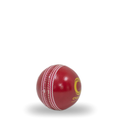 Champ Turf Pro 156g Cricket Ball – 4pc Red