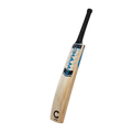 Champ Master English Willow Cricket Bat – SH – Blue
