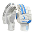 Champ legend Batting Gloves – blue