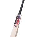 SS Gladiator 2026 English Willow Cricket Bat – Size 5