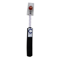 Champ Plastic Bat and Ball – Blue and White