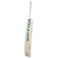 Champ Colt ELITE 5 Star English Willow Cricket Bat – Size 1- Blue/Black