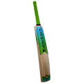 Champ Elite English Willow Cricket Bat – Blue and Green – Short Blade