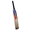 Champ Elite English Willow Cricket Bat – Blue and Red – Short Blade