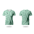 Champ Training/Playing T- Shirt – Sage Green