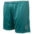 Champ Active Shorts – Teal