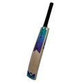 Champ Colt TEST English Willow Cricket Bat – Size 2 – Blue and Purple