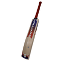 Champ Colt TEST English Willow Cricket Bat – Size 3 – Blue and Red