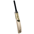 Champ Elite Cricket Bat – Gold and Black – Size 5