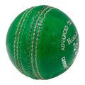 Champ 260g Weighted Cricket Ball – Green