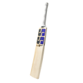SS Payers Colt Tilak Varma E.W Cricket – SIZE 3