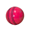 Champ Super 135g Cricket Ball – 2pc Pink