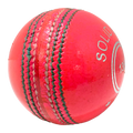 Champ Elite 135g Cricket Ball 2pc Pink