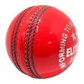 Champ Elite Pro 156g Cricket Ball – 2 Pc Pink