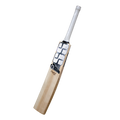 SS Finn Allen Pro Player English Willow Cricket Bat-SH