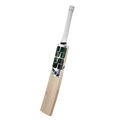 SS Players Colt Tim David E.W Cricket Bat – Size 4