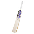 SS QDK Player E.W Cricket Bat – Size 6