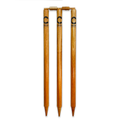 Champ Set of Stumps – (Set of 6 with bails)