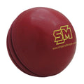 SM Wobble Ball