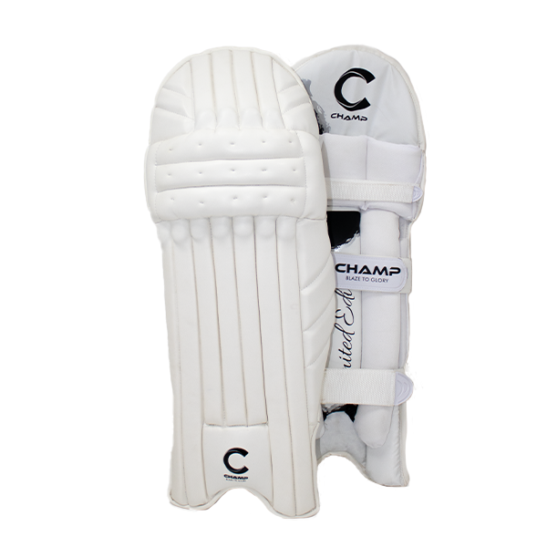 Champ Limited Edition Pads + Gloves Combo – Black and Silver – Youth / Adult / L.Adult