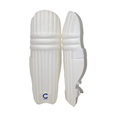 Champ Elite Moulded 25 – Light Weight – Pads – Ambidextrous – Blue and Green – Junior