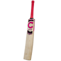 Champ Test Pro 2025 English Willow Cricket Bat – Pink – Size 6